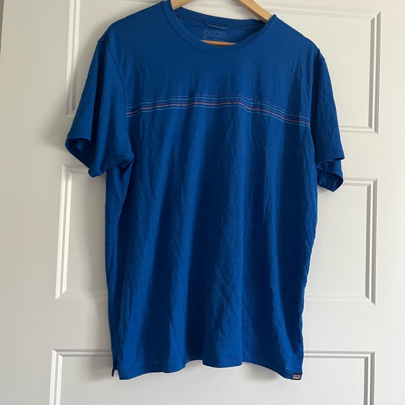 Patagonia Other - Patagonia  Blue Mountain Logo Performance Hiking T-Shirt